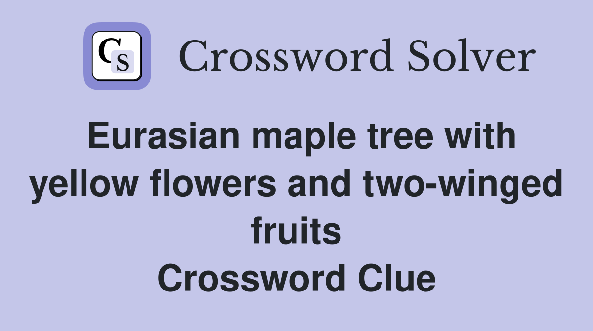 Eurasian maple tree with yellow flowers and twowinged fruits